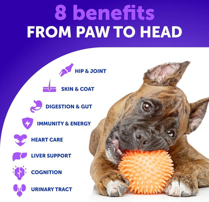 20 in 1 Dog Multivitamin + Allergy Relief Chews Bundle - Vitamins for Hip & Joint Support, Immunity, Mobility - Omega 3 for Skin & Coat, Anti-Itch, Hot Spots Treatment, Seasonal Allergy
