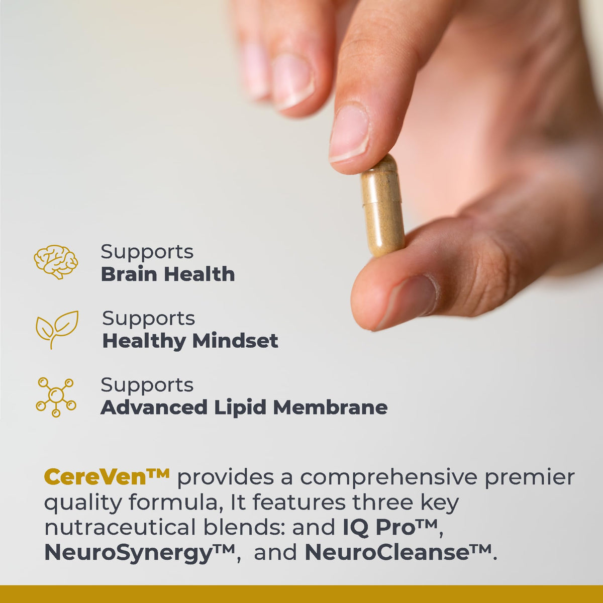 Premier Research Labs CereVen - Herbal Brain Supplement for Memory & Focus Featuring Rhodiola Rosea, Rhodiola Rosea Supplement for Brain Health Support - 60 Vegetarian Capsules Premier Research LabsBuy Supplements Australia