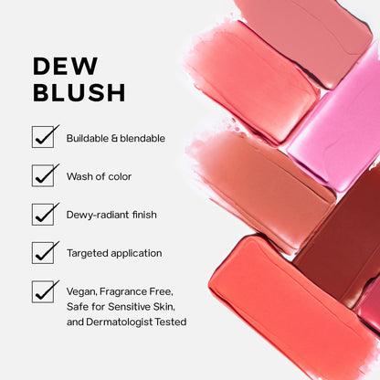 Saie Dew Liquid Blush for Cheeks - Hydrating Cream Blush Stick with a Blendable + Buildable Formula - Skincare Infused Dewy Cheek Tint for a Natural Flush - Glowy Makeup Essential - Lady (.40 oz) SaieBuy Supplements Australia