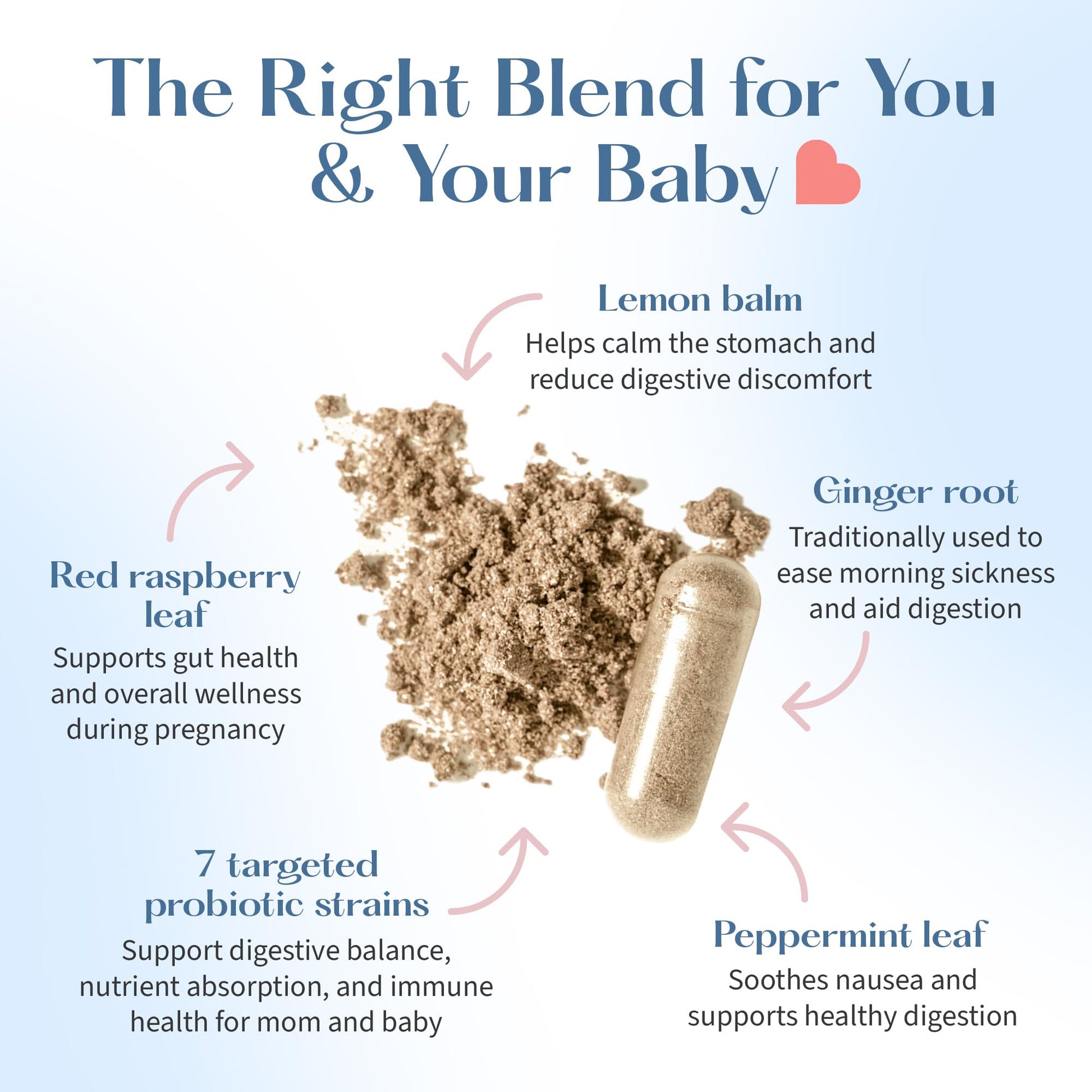 LOVEBUG Prenatal Probiotic | Helps with Morning Sickness, Nausea, Heartburn & Digestion | Helps Baby Microbiome | Multi Strain 20 Billion CFU | 30 Capsules LOVEBUG buy supplements Au