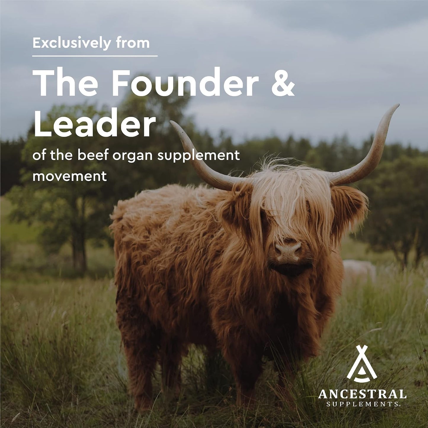 Ancestral Supplements Grass Fed Beef Gallbladder Supplement, 180 Ct | With ox bile and liver support, this formula promotes bile flow, digestive health and gallbladder function.
