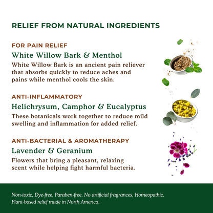 Nature's Willow Natural Pain Relief Patches for Muscles & Joints | Fast-Acting with White Willow Bark | Free from Artificial Fragrances & Dyes | 6 Patches per Pack (3-Pack) Nature's WillowBuy Supplements Australia