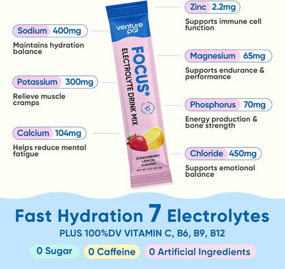 Venture Pal 2-in-1 Hydration Electrolytes Bundle – Focus & Immune Support Powder Packets, 7 Electrolytes, Vitamins, Magnesium, Lion’s Mane, L-Theanine, Elderberry, Sugar Free Drink Mix, 32 Sticks
