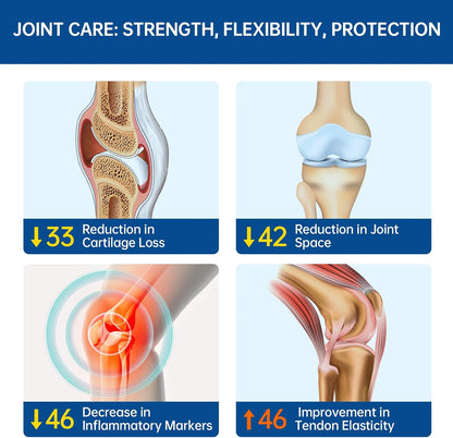 5-Day Fast-Acting Glucosamine Chondroitin MSM for Joint & Cartilage Health | Lower Purine Risk, 200mg OVOMET Eggshell Membrane, 80% Less Marine Glucosamine, Regulated by German Pharmacies, Traceable PZN