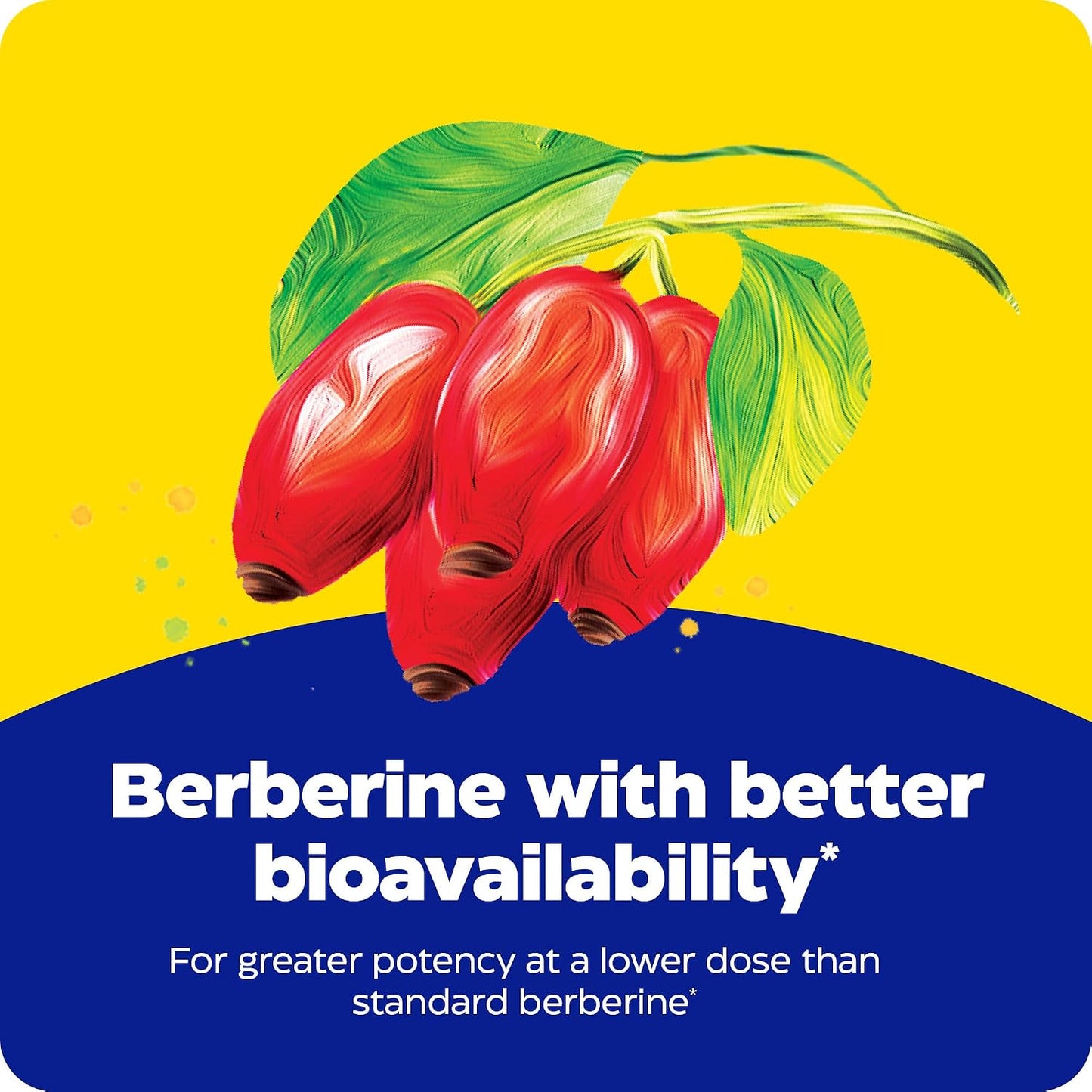 Enzymedica Berberine Phytosome High Bioavailability Formula, 60 Caps | Enhanced Absorption for Superior Berberine Delivery