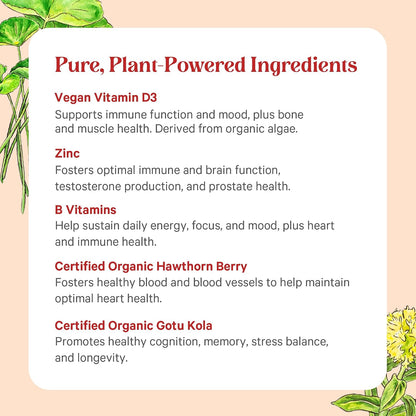 PURE SYNERGY Vita·Min·Herb for Men | Men’s Comprehensive Multivitamin Supplement | Made with Organic Whole Food Non-GMO Ingredients | Daily Energy & Immune Support (120 Tablets)