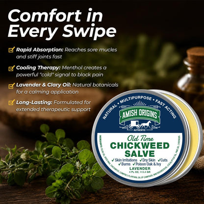 Amish Origins Old Time Chickweed Salve 2 oz- The Ultimate Poison Ivy/Poison Oak Blocker, Healing Salve for Skin Disorder, Irritations, Burns, Minor Cuts