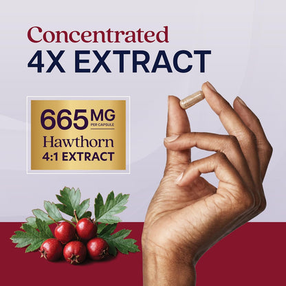 Hawthorn Berry Supplement, 5 Month Supply, Powerful 4:1 Hawthorn Extract | High Strength Hawthorne Berries, Cardiovascular Health Support, Hawthorne Berry Supplement, Vegan & Non-GMO, 150 Capsules