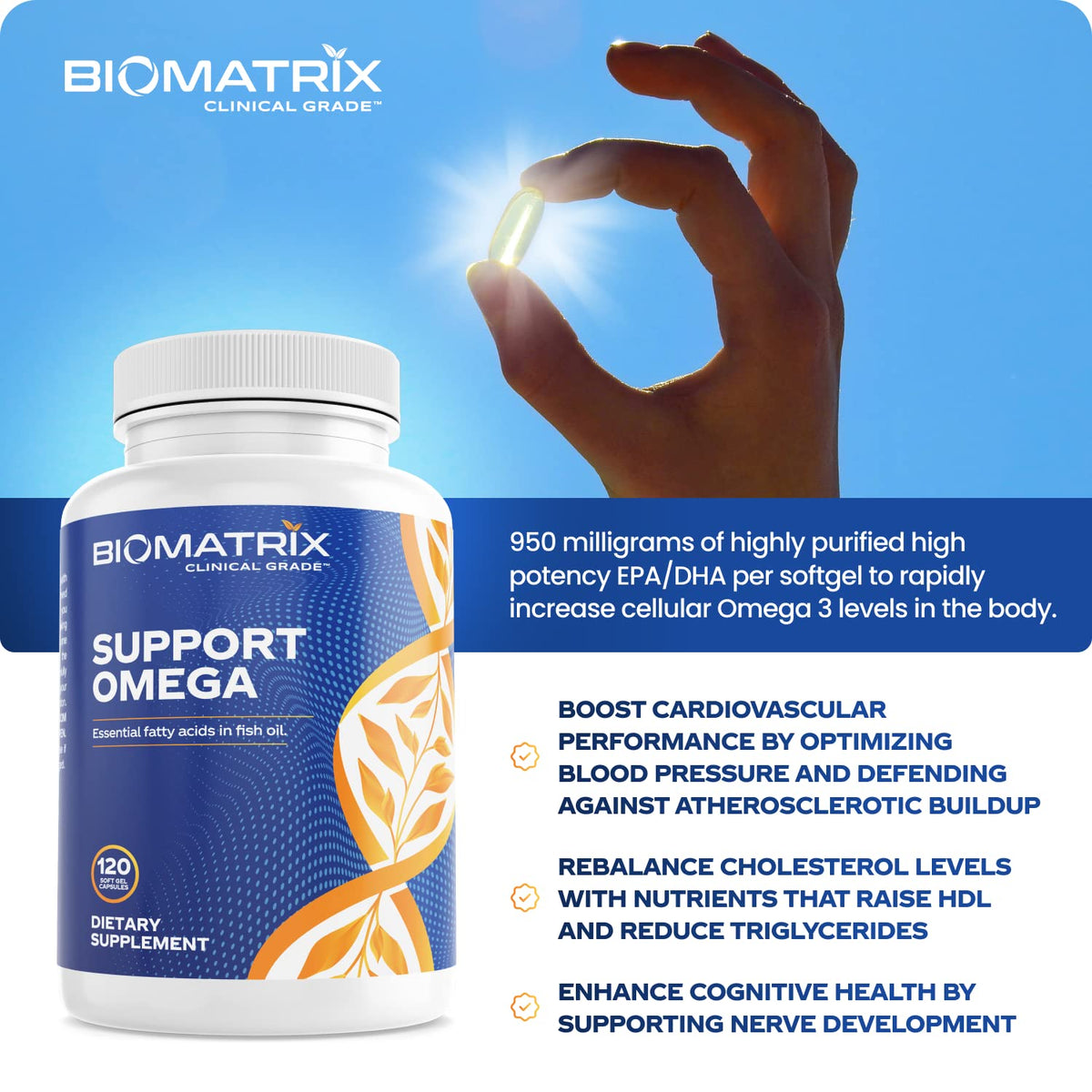 Support Omega EPA DHA Omega 3 Fish Oil Supplement - Cardiovascular, Musculoskeletal Support (120 Gel Capsules) BioMatrix buy supplements Au