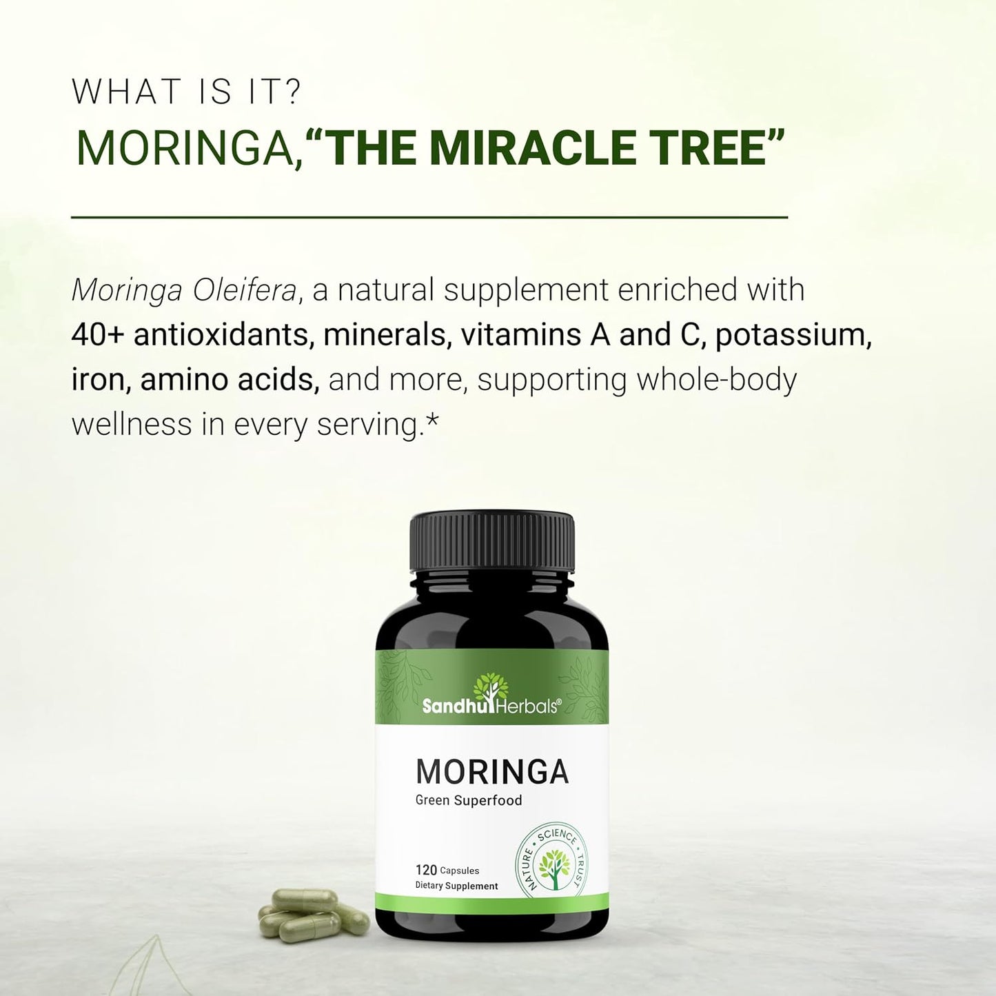Pure Moringa Capsules for Women & Men | 120 Count Green Antioxidant Natural Superfood 900mg | Maringa Oleifera Supplement | Supports Immune, Skin & Gut Health | Made in USA