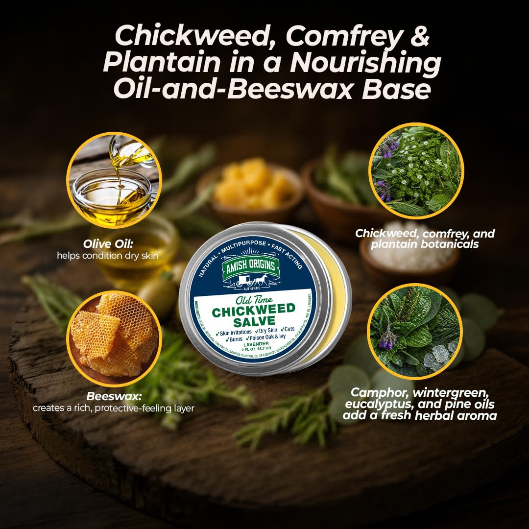 Amish Origins Old Time Chickweed Salve 2 oz- The Ultimate Poison Ivy/Poison Oak Blocker, Healing Salve for Skin Disorder, Irritations, Burns, Minor Cuts
