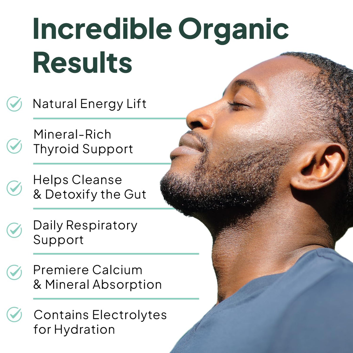 Organics Ocean Wild Sea Moss Capsules - 100% Organic Irish Sea Moss with Organic Chlorella, Bladderwrack and Vitamin D for Energy, Lung Health and Thyroid Support for Women and Men - 60 Capsules Organics OceanBuy Supplements Australia