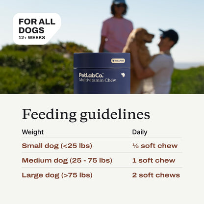 PetLab Co. 22-in-1 Multivitamin Chews for Dogs, Pork Flavor | 22 vitamins and minerals in one daily soft chew to support immune health, energy, skin, coat and overall wellbeing