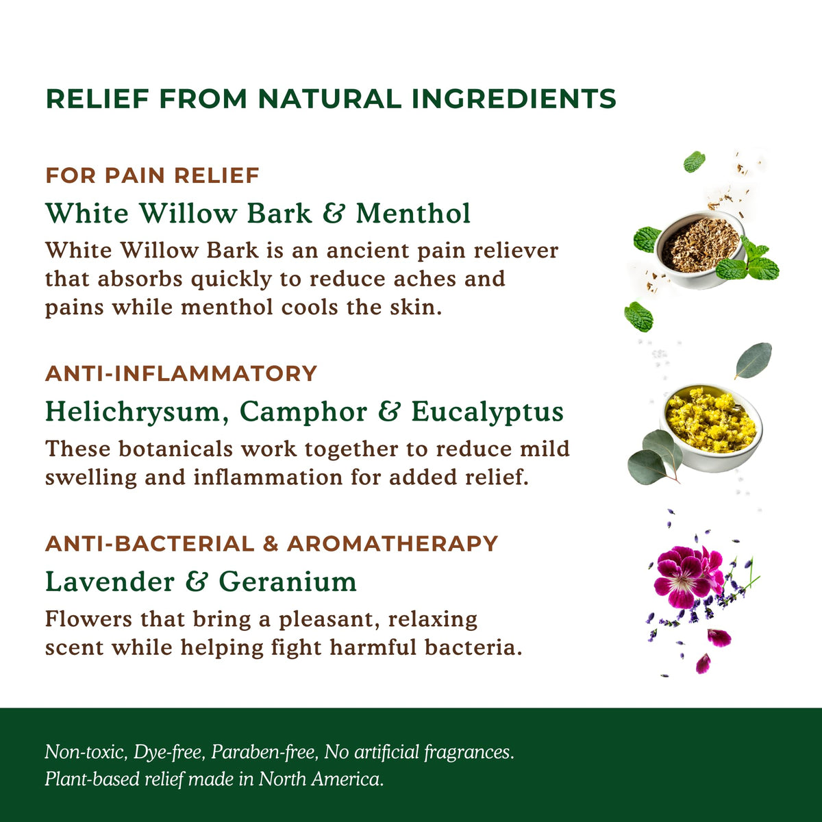 Nature's Willow Willow Balm Natural Pain Relief Cream for Muscles & Joints | Fast-Acting with Willow Bark & Menthol | Free from Artificial Fragrances & Dyes | 6-Pack | 3.5 fl oz Nature's WillowBuy Supplements Australia