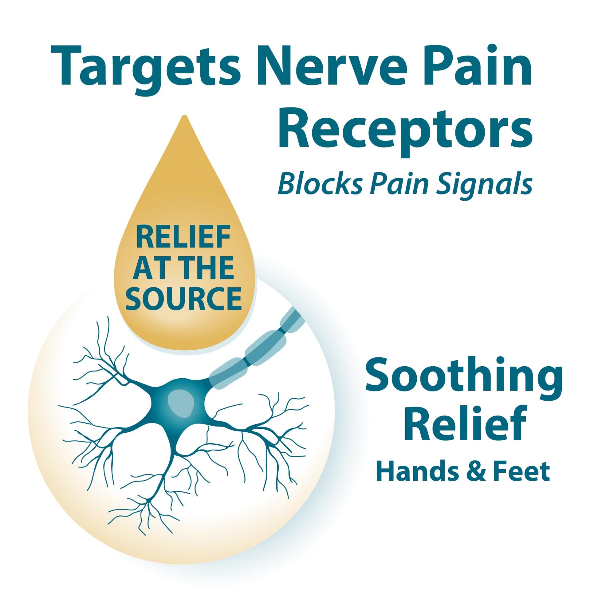 Nerve Pain Relief, Neuropathy Relief for Hands & Feet, Frankincense & Myrrh Rubbing Oil with Menthol and Frankincense Essential Oils, 2 Fl. Oz. Maximum Strength for Foot Pain FRANKINCENSE & MYRRHBuy Supplements Australia