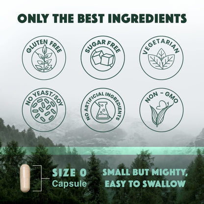 Natural Rhythm Triple Calm Magnesium Complex - 120 Capsules, Chelated Magnesium Glycinate, Taurate & Malate, High Absorption Supplement for Sleep, Stress, Muscle & Heart Support, Non-GMO, Vegan Natural Rhythm buy supplements Au