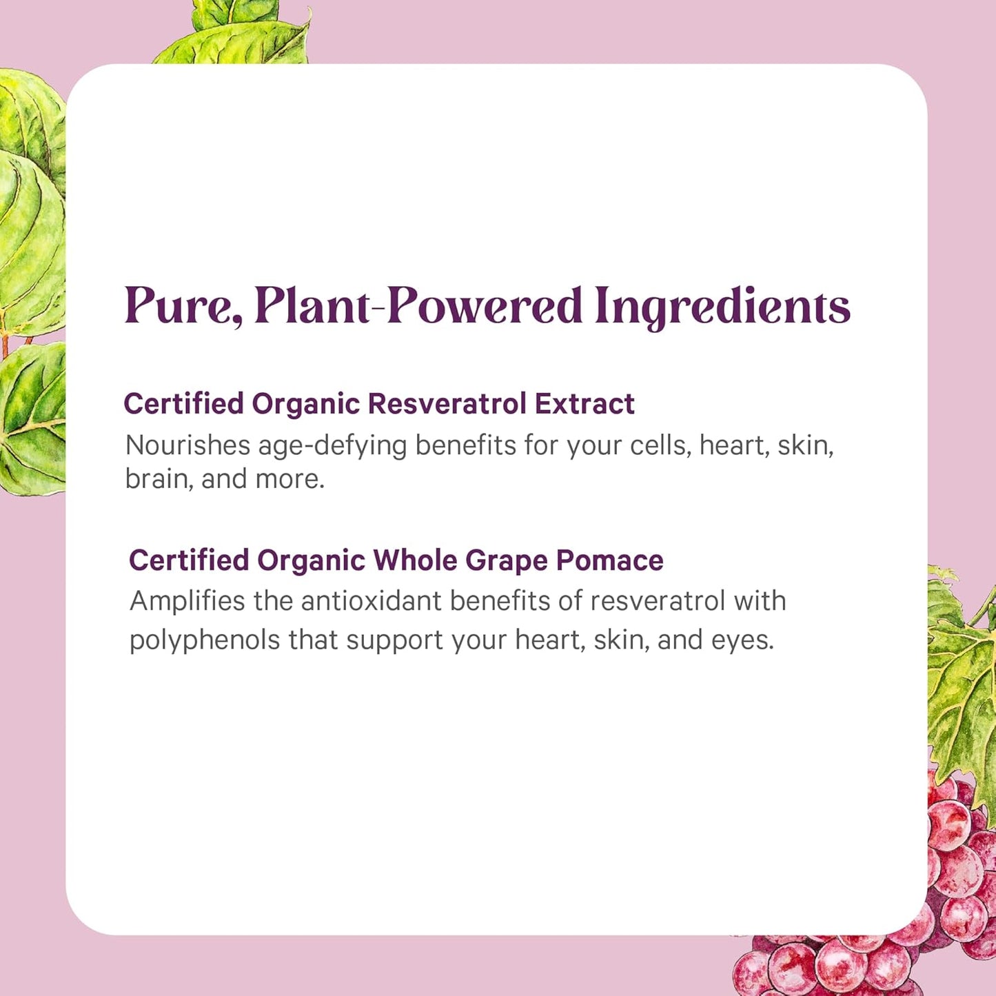 PURE SYNERGY SuperPure Resveratrol Extract | Organic Resveratrol Supplement | Antioxidant Trans-Resveratrol Extract with Grape Polyphenols | for Healthy Aging, Heart, and Skin Health (60 Capsules)