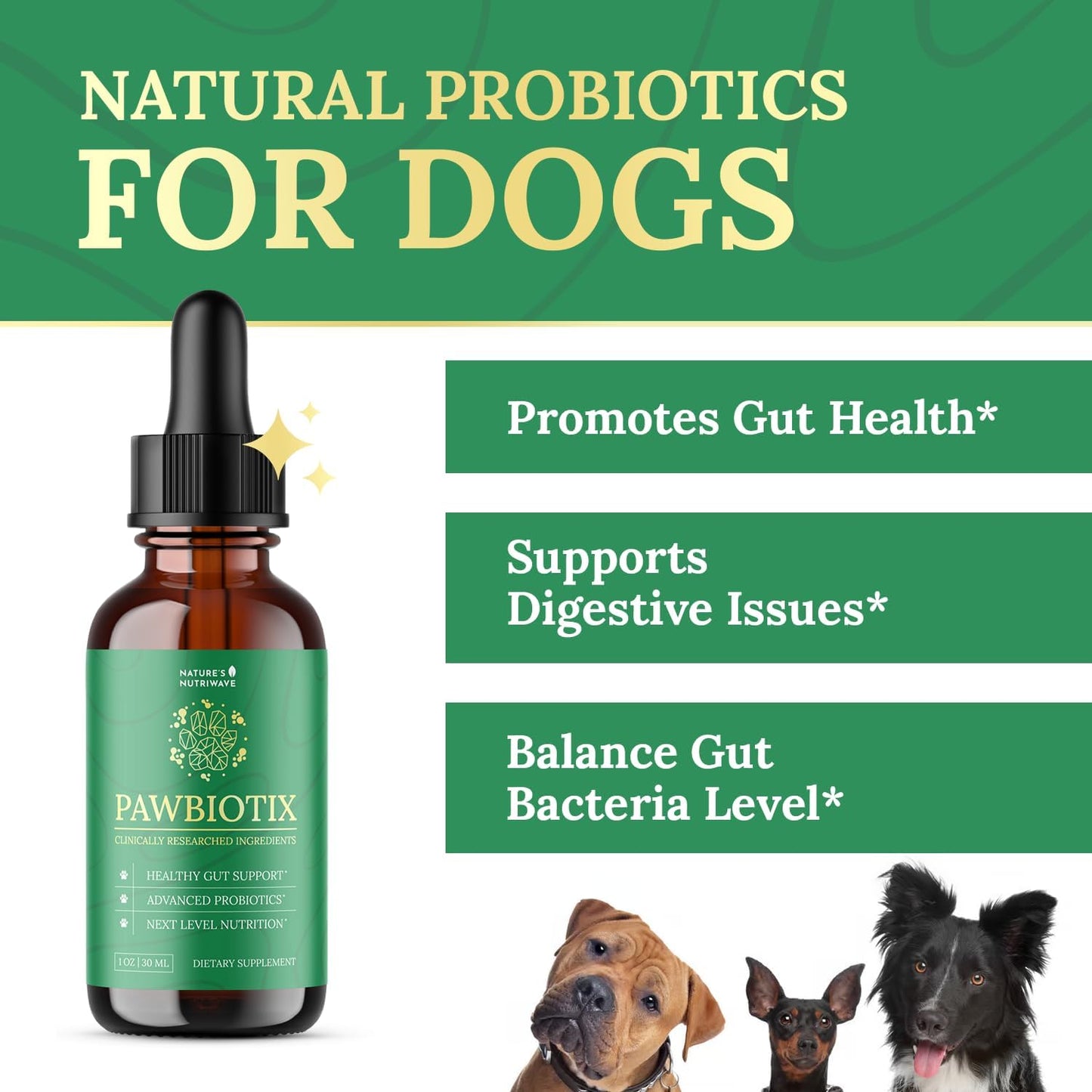 Pawbiotix Liquid Probiotics for Dogs – 1oz, 1 Month Supply | Liquid probiotic drops for dogs, Beacon flavor | Original formula | Add to food or water, easy daily dose