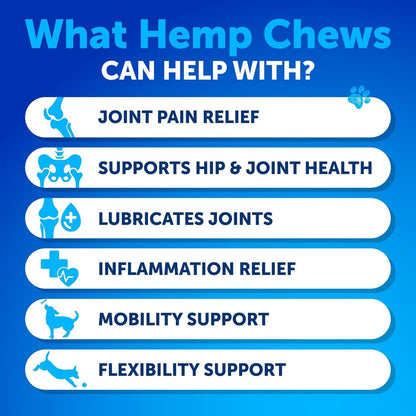 Probiotic Chews for Dogs - Supplement Bundle - Gut Health, Immunity, Yeast Balance - Glucosamine, Chondroitin, MSM