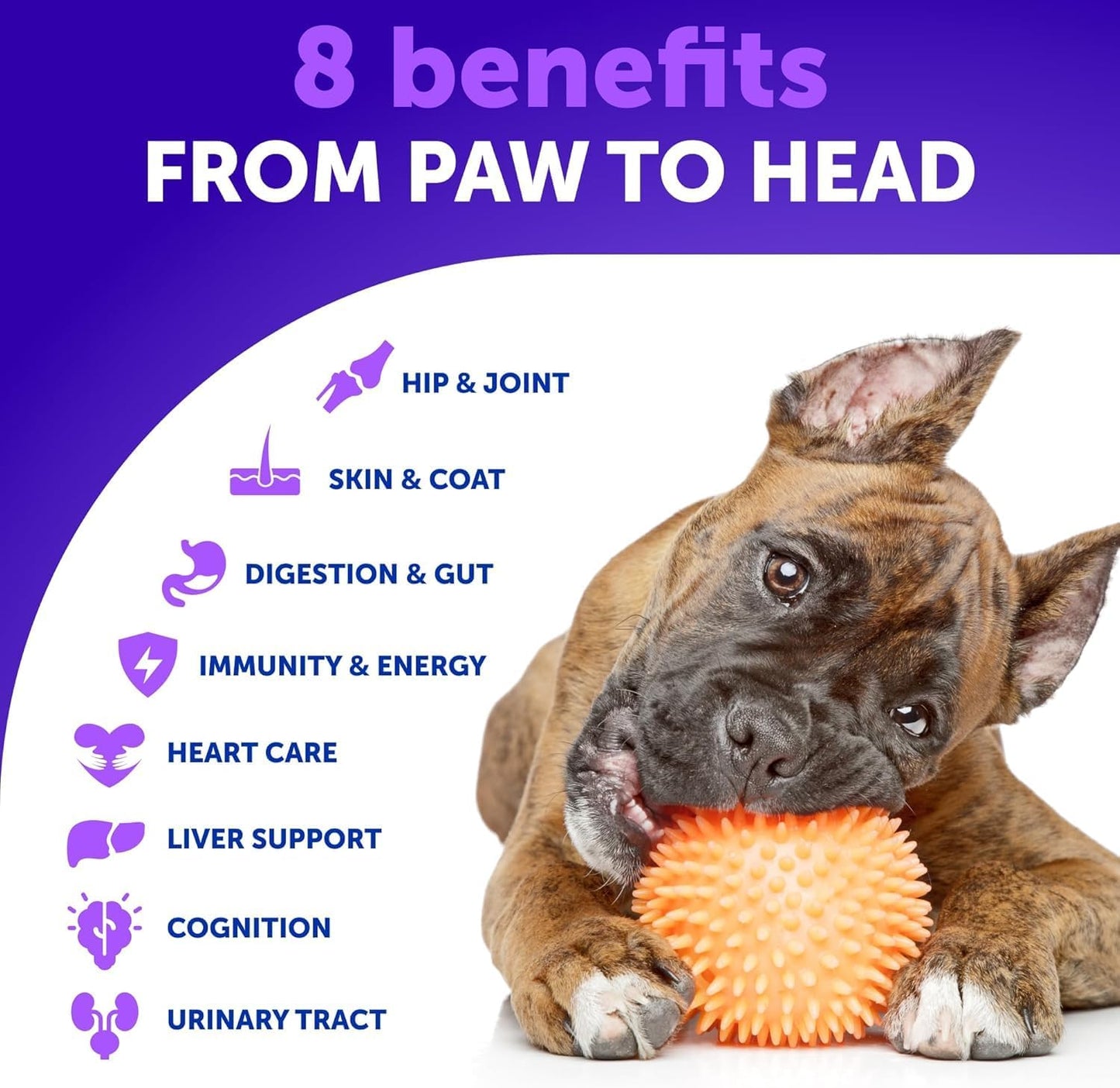 Dog Multivitamin Chewable with Glucosamine 26 in 1 - Dog Vitamins and Supplements - Senior & Puppy Multivitamin for Dogs - Pet Joint Support Health - Immunity, Mobility, Gut Skin - 120 Chews