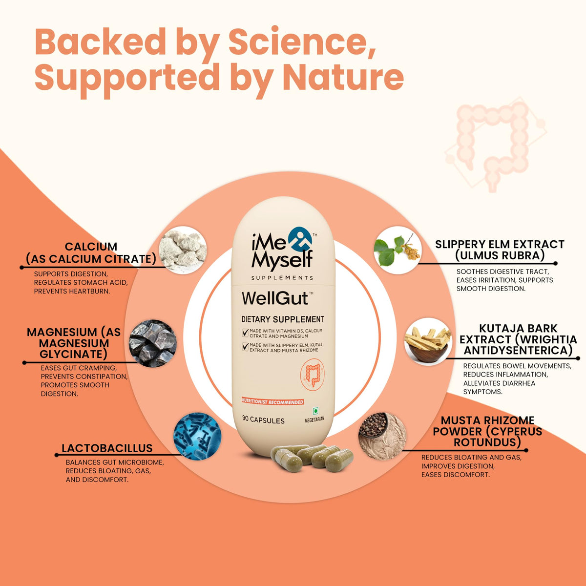 iMeMyself WellGut Daily Herbal Supplement | Traditional Herbs with Minerals & Probiotics 90 Vegan Capsules iMeMyselfBuy Supplements Australia