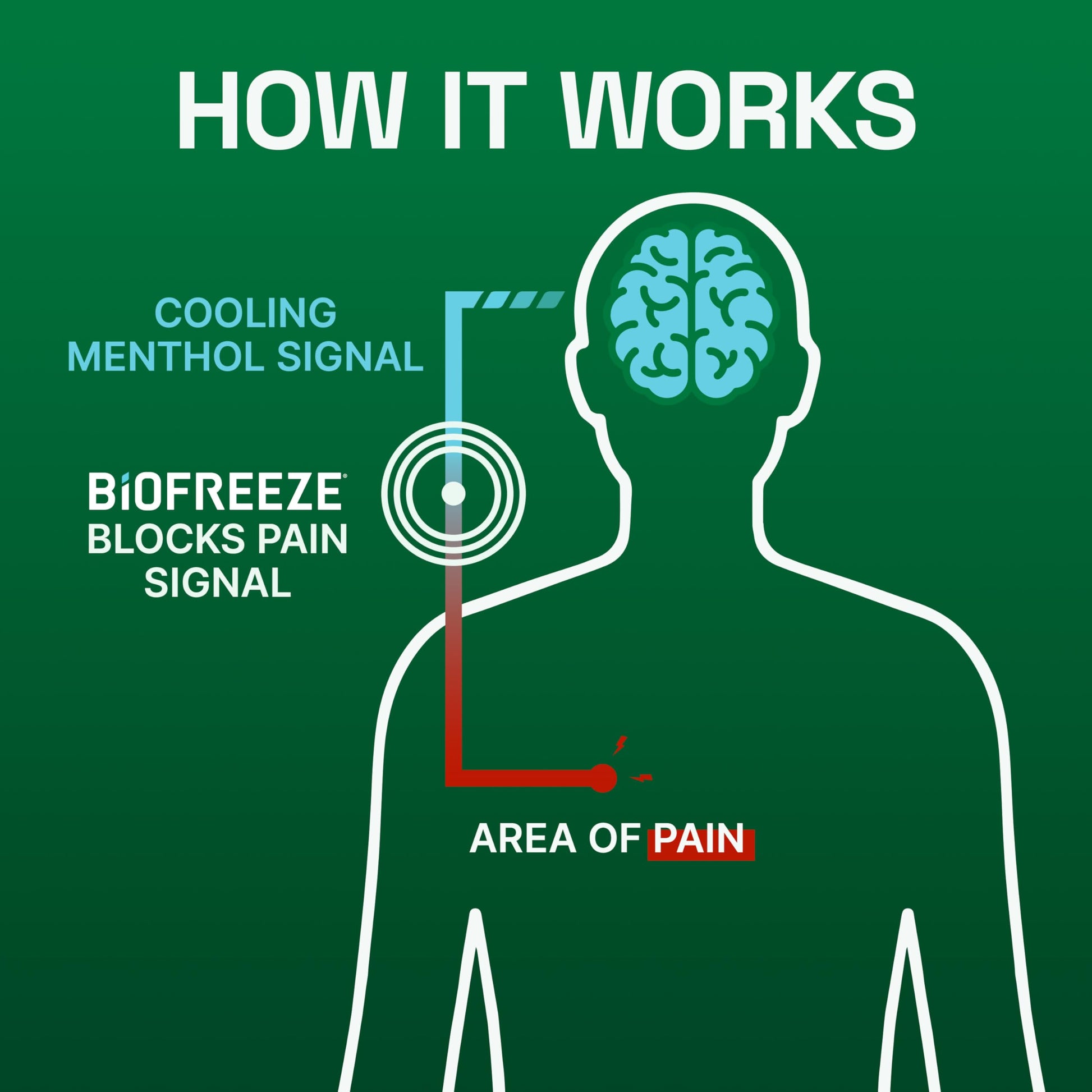 Biofreeze Spray, Gel, & Roll-On Pain Relief Variety Pack, Muscle Pain Relief, Arthritis Pain Reliver, Neck Pain Relief, Cooling Menthol Joint Pain Relief, 3 Fl Oz Spray, 3 Fl Oz Gel, 2.5 Fl Oz Roll On BiofreezeBuy Supplements Australia
