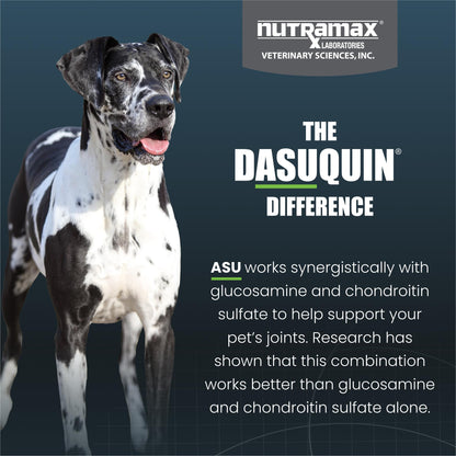 Nutramax Dasuquin for Large Dogs, Joint Health Supplement, Contains Glucosamine for Dogs, Plus Chondroitin, ASU and More, Supports Healthy Joints, Soft Chews, 84 Count Nutramax LaboratoriesBuy Supplements Australia