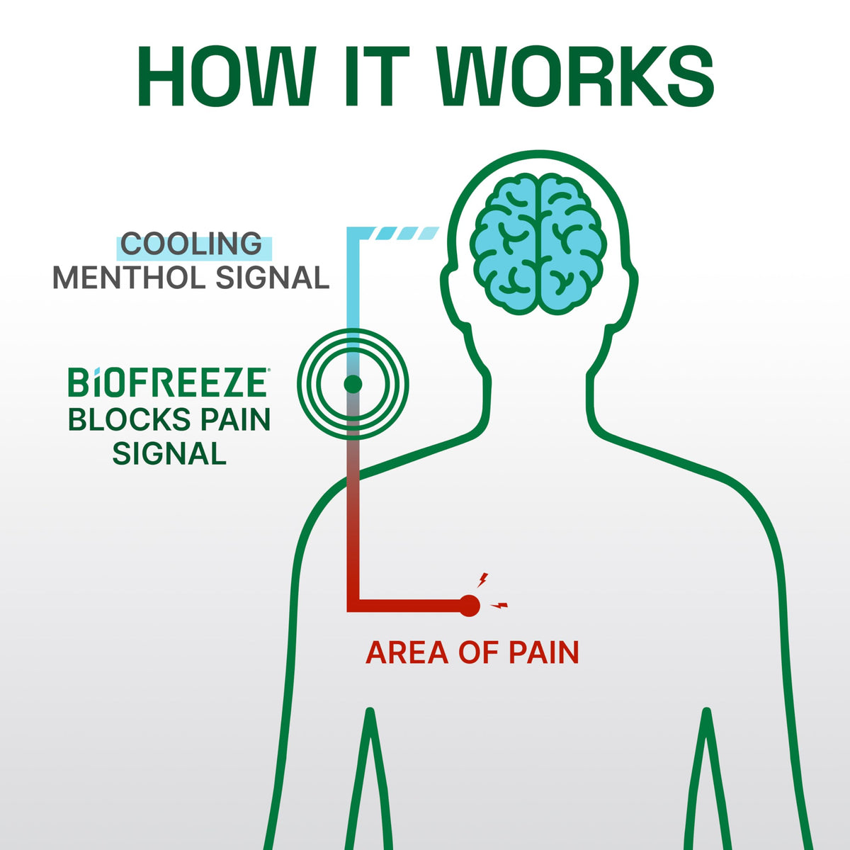 Biofreeze Professional Spray Pain Relief for Knee, Neck, Hip, Joint, Shoulder, & Simple Backache, Arthritis Pain Reliever, Sore Muscle Relief, Colorless Menthol Spray 4 Fl Oz (Pack of 2) BiofreezeBuy Supplements Australia