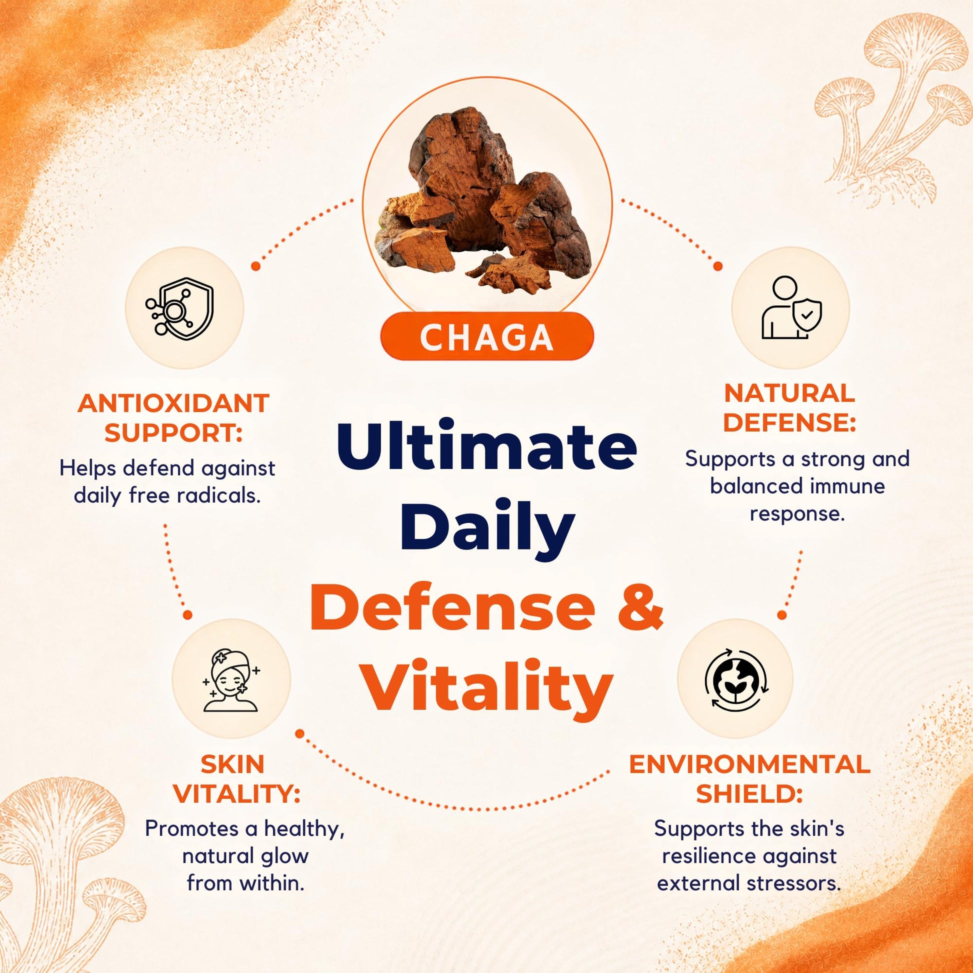 8-Mushroom Extract Powder by Malama, Organic Body Mushroom Blend Featuring Lion's Mane, Reishi, Cordyceps, Chaga, Turkey Tail, Superfood Adaptogenic - PrimeBioHealth - canada supplements