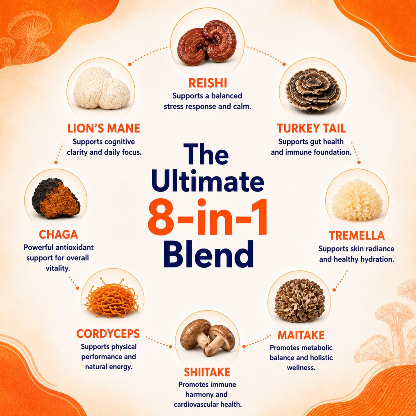 8-Mushroom Extract Powder by Malama, Organic Body Mushroom Blend Featuring Lion's Mane, Reishi, Cordyceps, Chaga, Turkey Tail, Superfood Adaptogenic - PrimeBioHealth - canada supplements