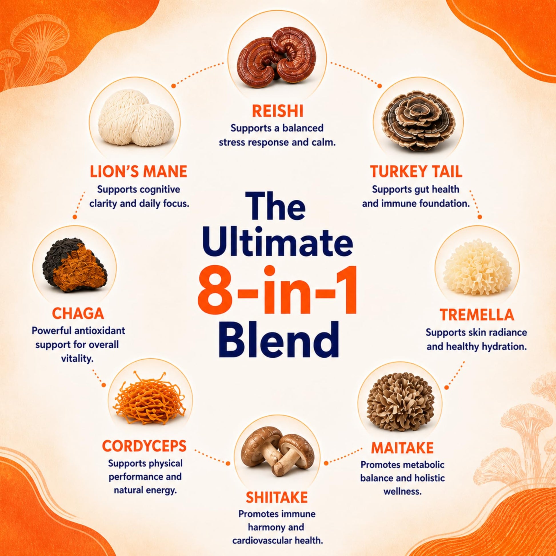 8-Mushroom Extract Powder by Malama, Organic Body Mushroom Blend Featuring Lion's Mane, Reishi, Cordyceps, Chaga, Turkey Tail, Superfood Adaptogenic - PrimeBioHealth - canada supplements