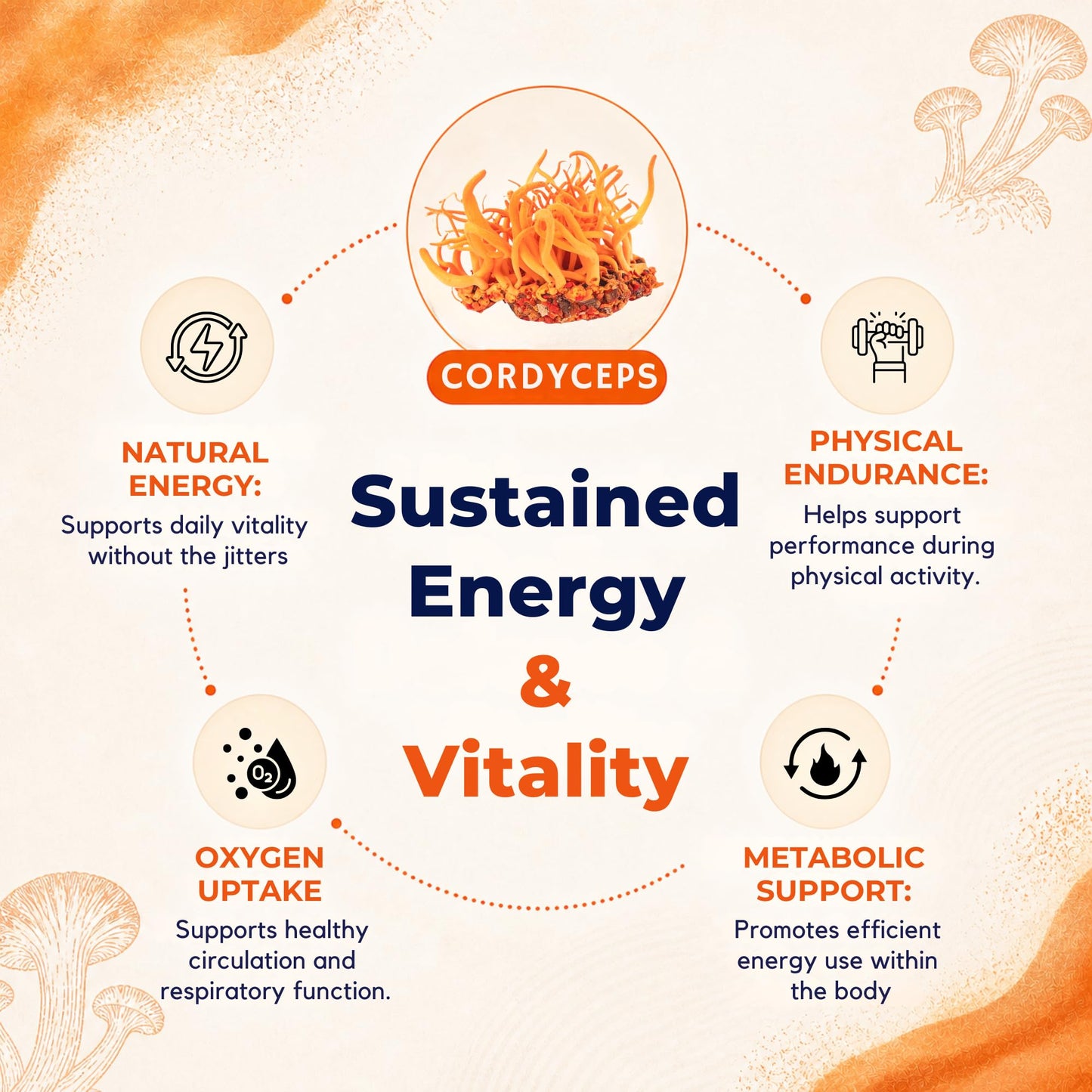 8-Mushroom Extract Powder by Malama, Organic Body Mushroom Blend Featuring Lion's Mane, Reishi, Cordyceps, Chaga, Turkey Tail, Superfood Adaptogenic - PrimeBioHealth - canada supplements