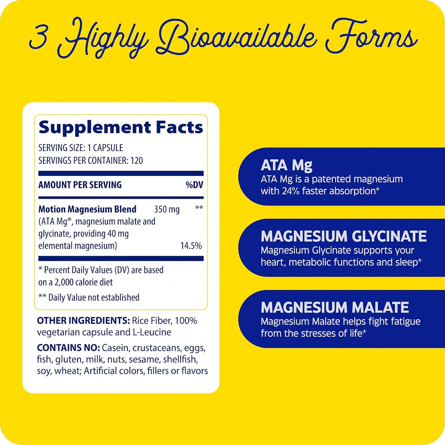 Enzymedica Magnesium Motion Supplement for Women & Men - Triple Magnesium Complex, ATA Mg, Malate & Glycinate, Muscle & Bone Health Support Capsules, High Bioavailability, Vegan, Gluten Free- 120 Caps