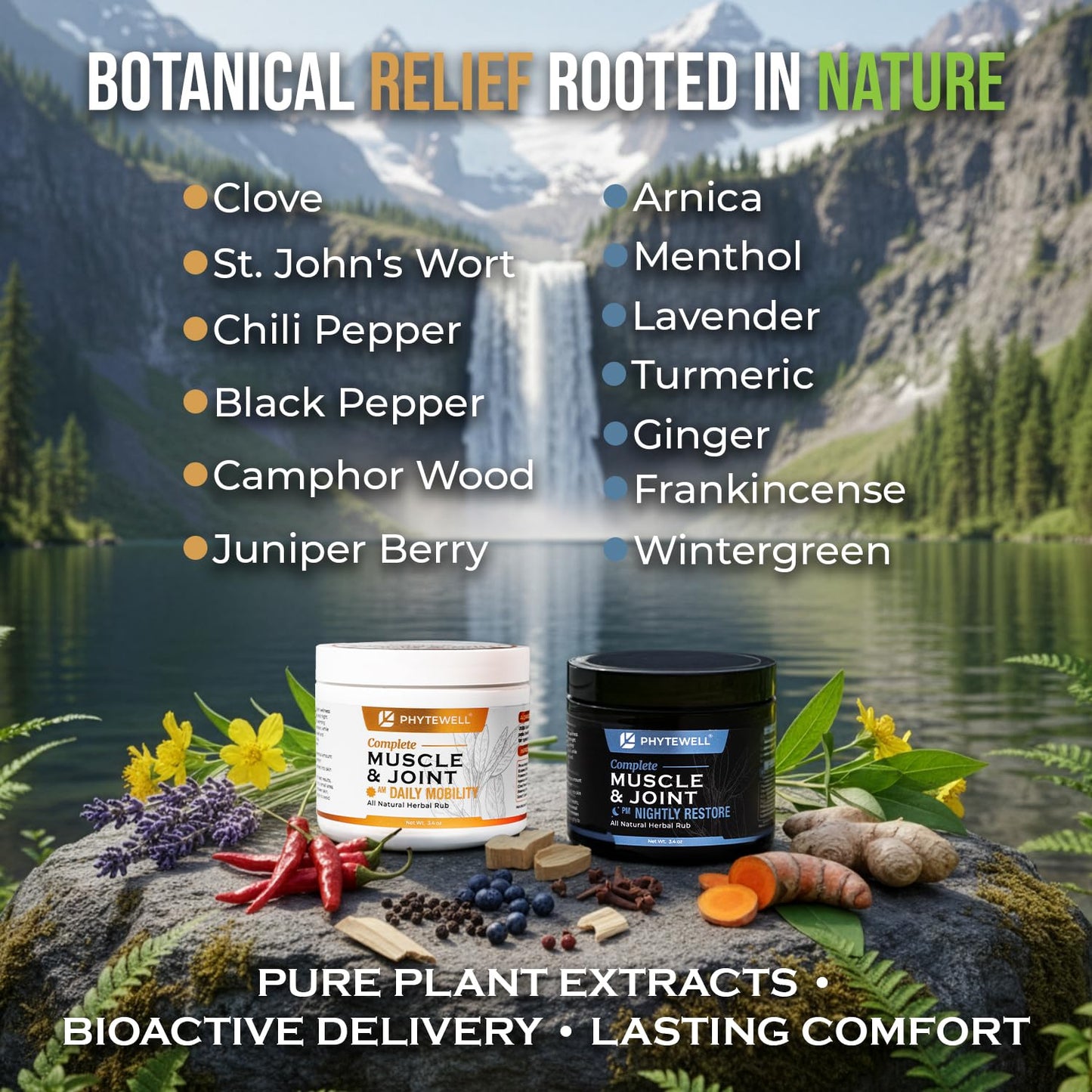 PHYTEWELL Muscle & Joint Rub Balm - Day & Night Pain Relief for Back, Knee, & Shoulder - Crafted with Arnica, Clove & Black Pepper to Support Recovery & Relaxation – Premium Non-Greasy Texture PHYTEWELLBuy Supplements Australia