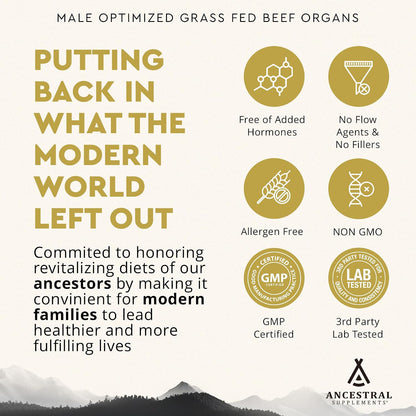 Ancestral Supplements MOFO & Vanilla Protein Bundle for Men – Supports Strength, Energy, Hormone Health & Recovery – Grass Fed Beef Organ Blend with 20g Protein, Gut Health Support & Organic Mushrooms