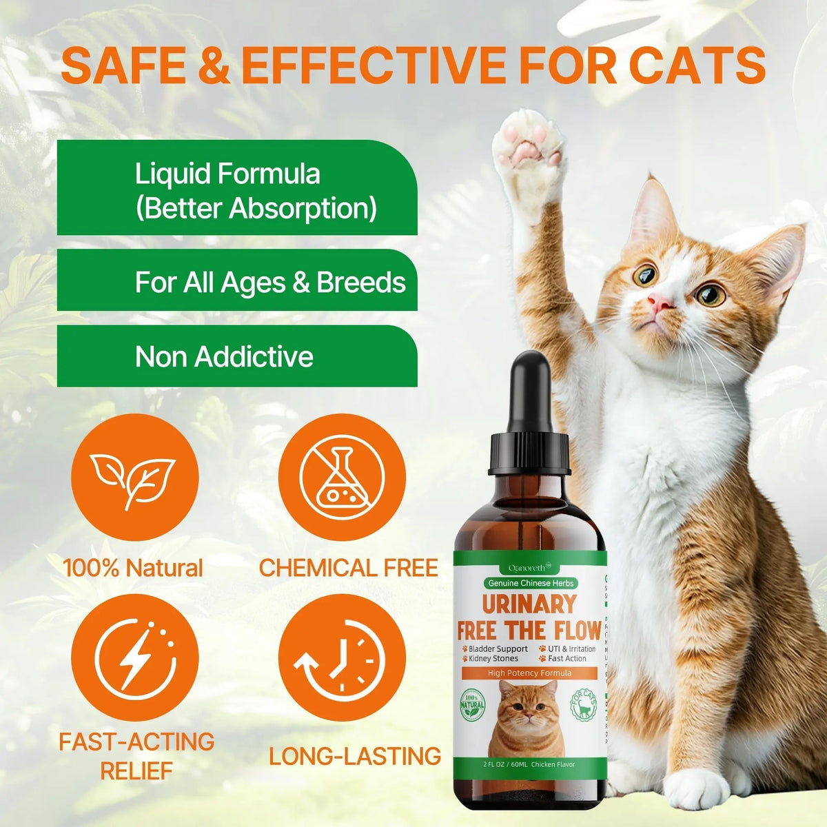 Cat Bladder Remedy for Stones & Crystals, Kidney StonesDissolver forCat- Urinary Free The Flow - Cat Urinary Tract Infection Treatment for Stones, Herbal CatUTI Remedy for Stone Relief & Prevention QanorethBuy Supplements Australia