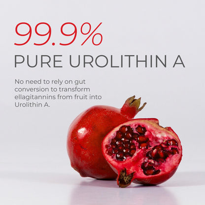 Neurogan Urolithin A PRO Capsules - 1000mg, 120 Ct - Advanced Cellular Health, Post Biotic Supplements - Ultra Micronized Urolithin A Supplement, Sourced from Pomegranate Extract Neurogan buy supplements Au