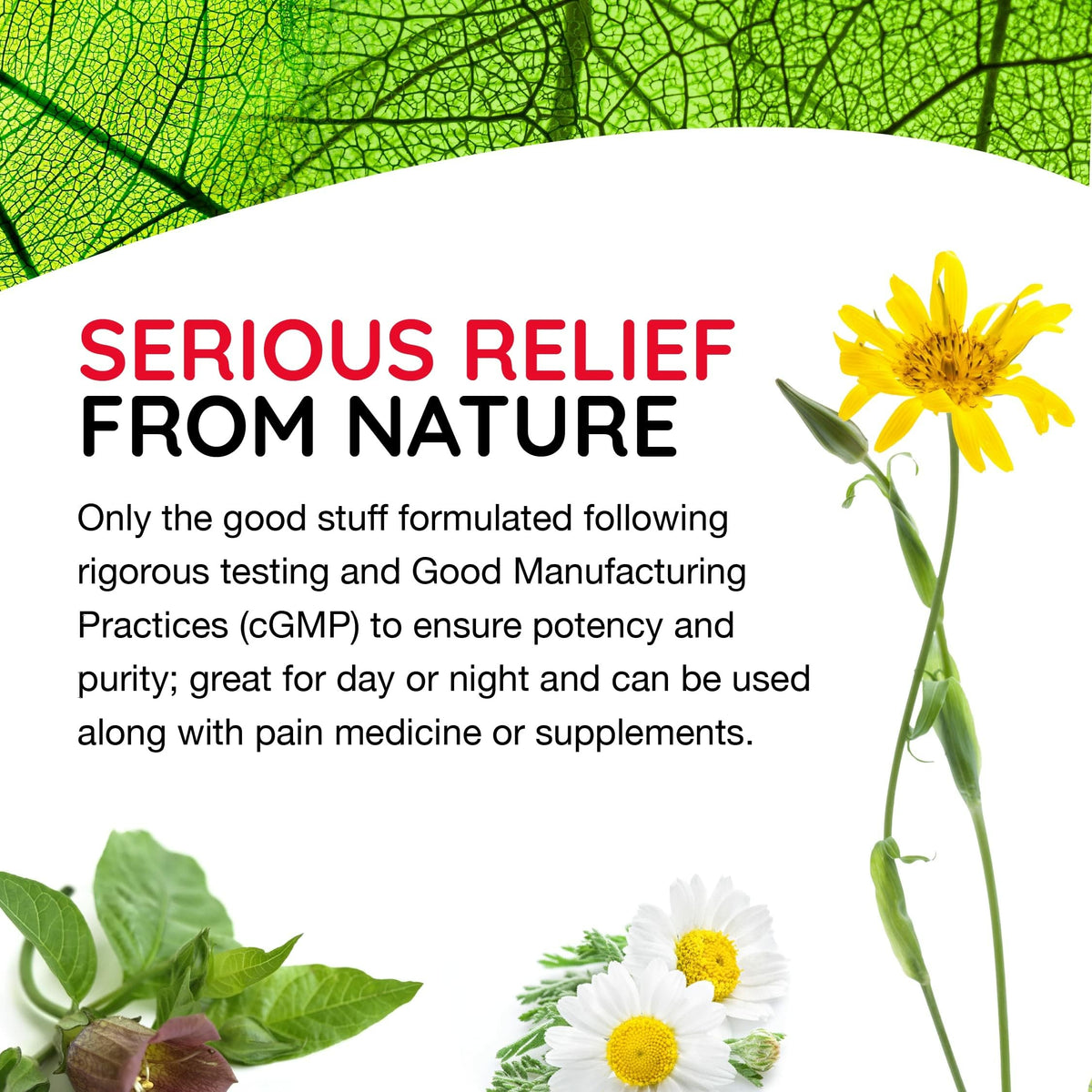 MediNatura T-Relief Pain - Arnica Medication for Naturally Soothing Body Aches - Supports Muscle, Joint & Back Relief - Chewable Tablets - Plant-Based Tablets - Non-Addictive - 100 Count - 2 Pack MediNaturaBuy Supplements Australia