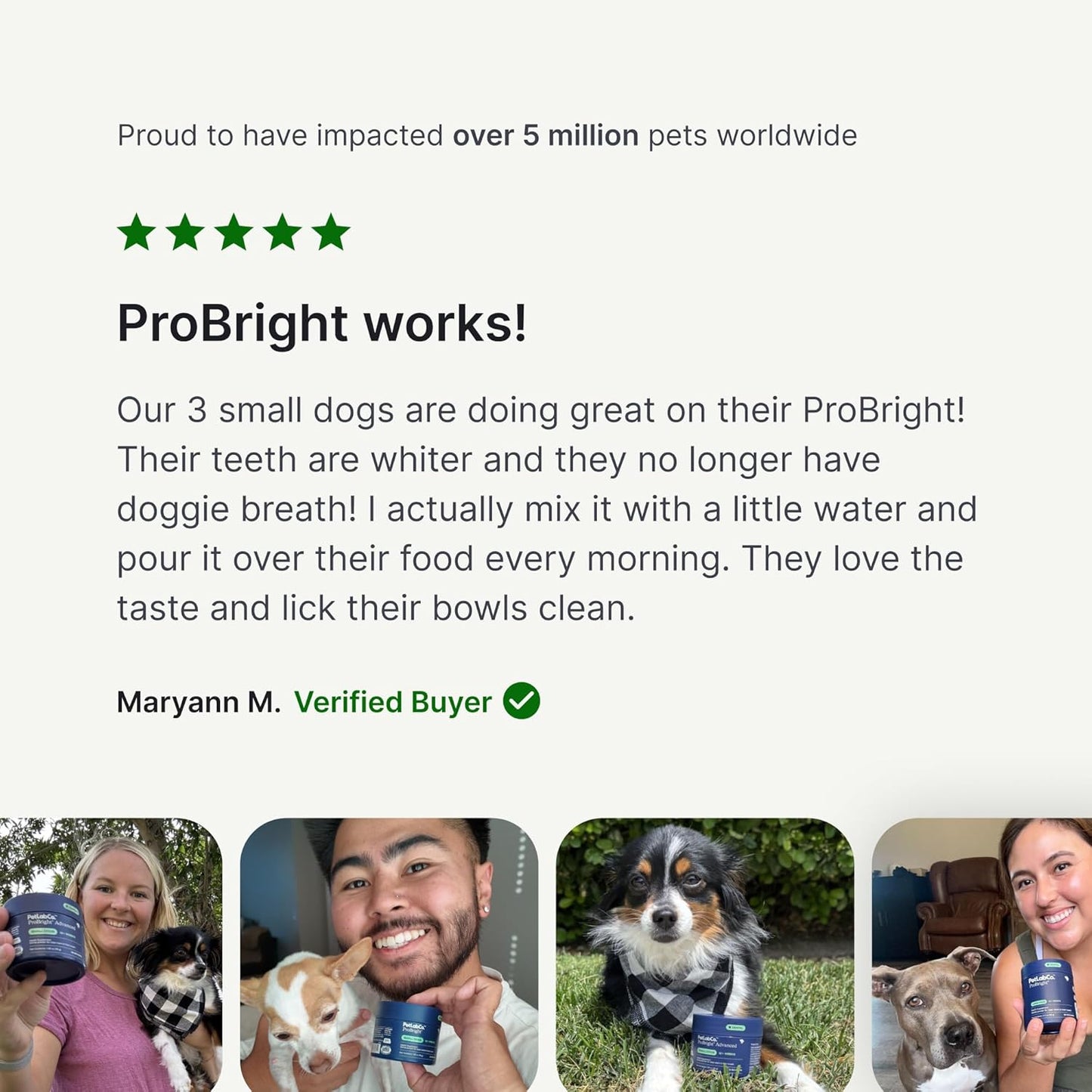 PetLab Co. ProBright Dental Powder - Dog Breath Freshener - Teeth Cleaning Made Easy – Targets Tartar & Bad Breath - Formulated for Medium Size Dogs - Pack of 2