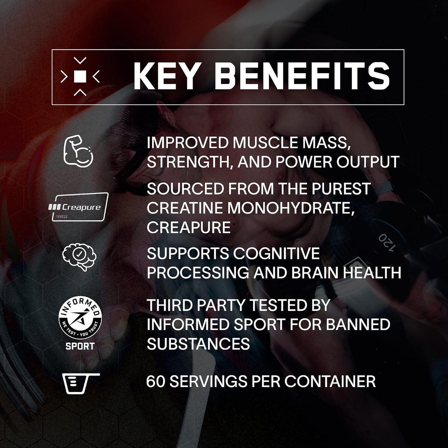 BARE PERFORMANCE NUTRITION BPN Whey Strawberry Protein & Creatine 30 Servings Bundle
