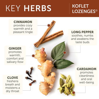 Himalaya Koflet Lozenges, Vanilla Chai Flavor, Natural Herbal Cough Drop for Warming Relief and Soothing Comfort, 130 mg, 20 Lozenge