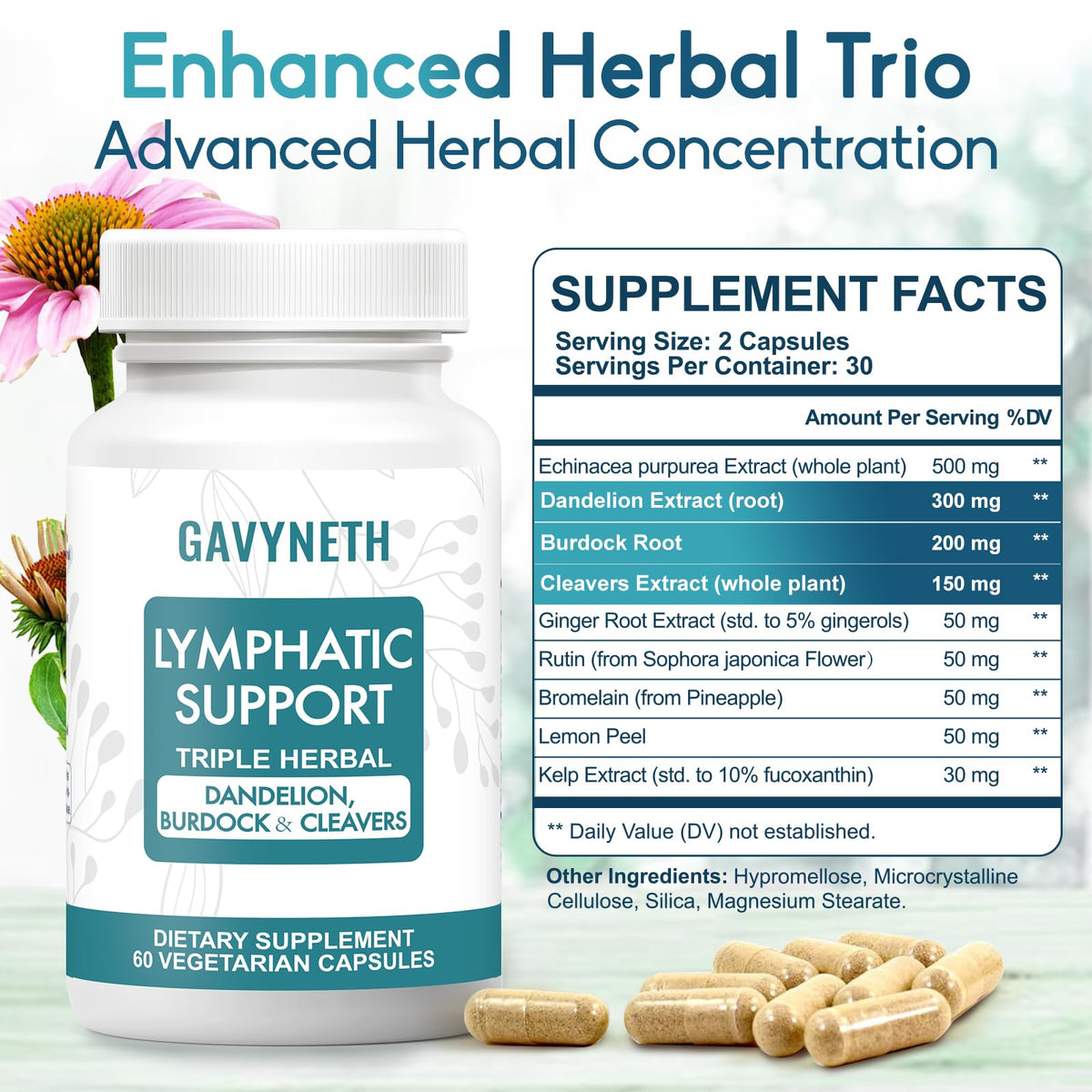 GAVYNETH Lymphatic Drainage Supplements for Lymph System Support – Echinacea, Dandelion & Burdock for Immune & Circulation Support, Vegan Herbal Formula for Women & Men, 60 Capsules GAVYNETH buy supplements Au