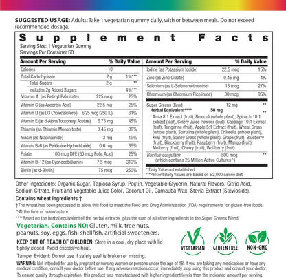 Rainbow Light Womens One + Multivitamin Gummies | 60 Count | Supports Cellular Energy & Antioxidant Health | Mixed Berry Flavor | with Real Food Nutrients, B Vitamins & Probiotics