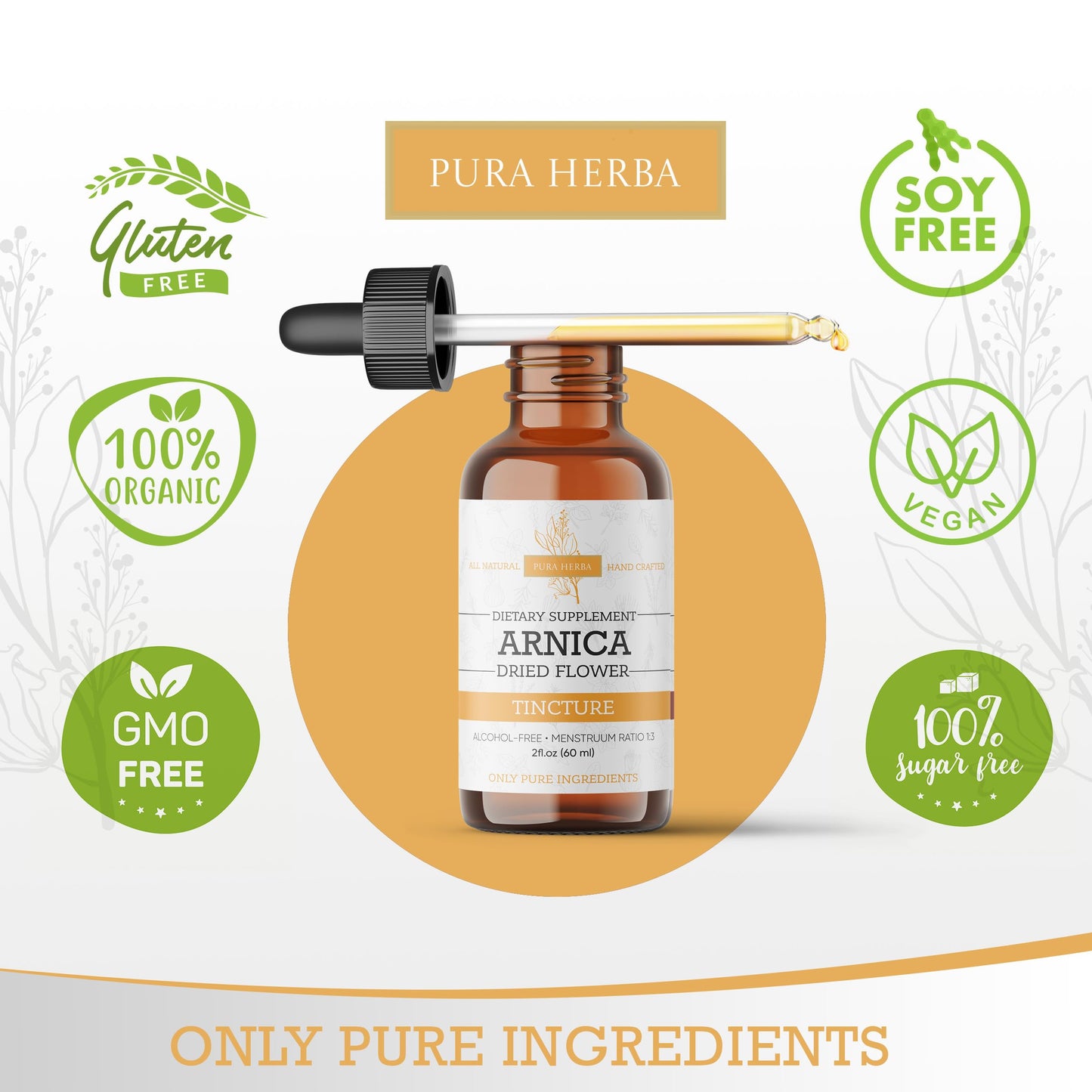 Pura Herba Arnica Liquid Extract – Alcohol-Free, Vegan, Supports Muscle Recovery & Joint Comfort, Fast-Absorbing Tincture, Made in USA – 2 Fl Oz Pura HerbaBuy Supplements Australia