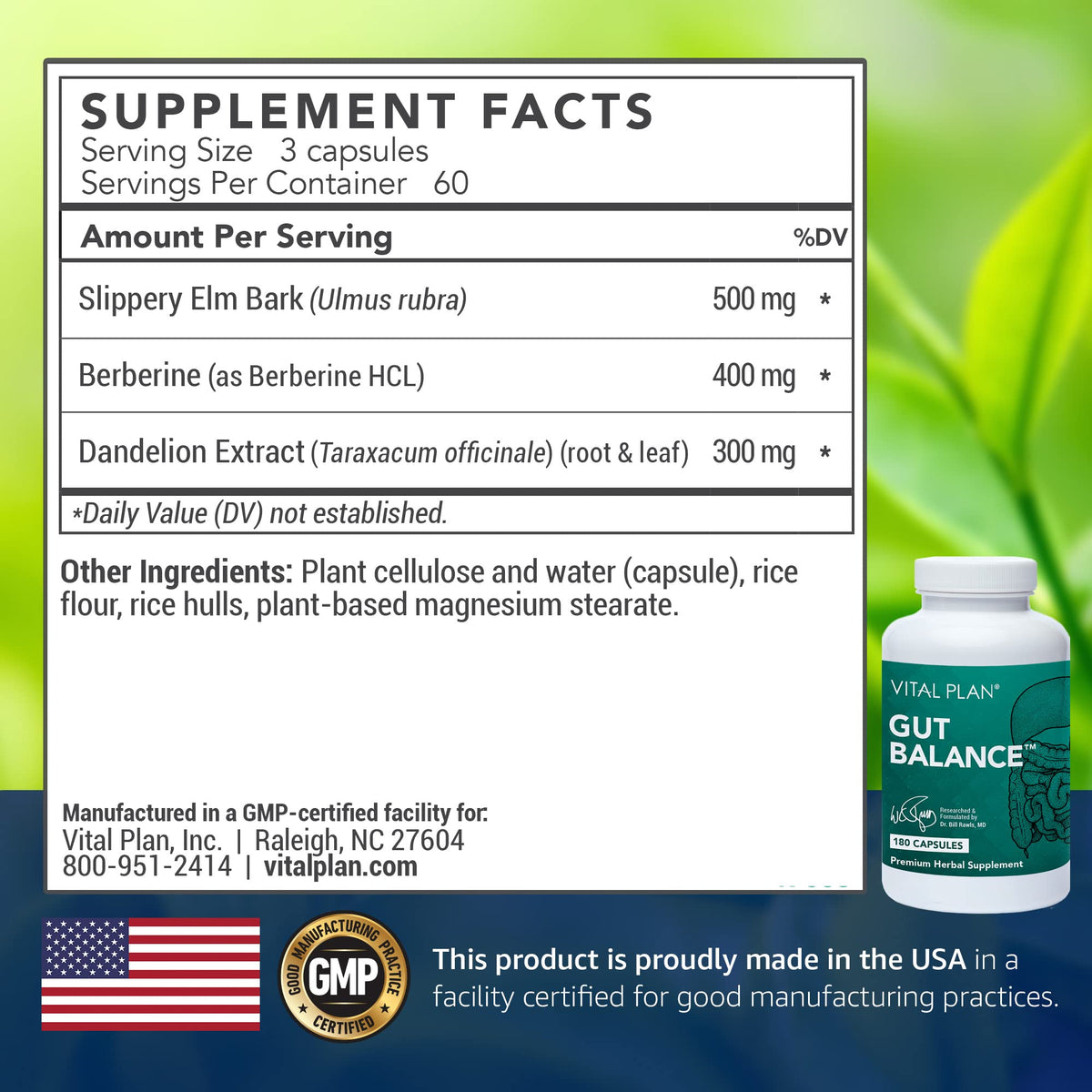 Vital Plan Gut Balance Supplement by Dr. Bill Rawls - Advanced Digestive Health Support Formula w/Clinical-Grade Slippery Elm Bark, Berberine & Dandelion Extract for Women & Men (180 Capsules) Vital Plan buy supplements Au