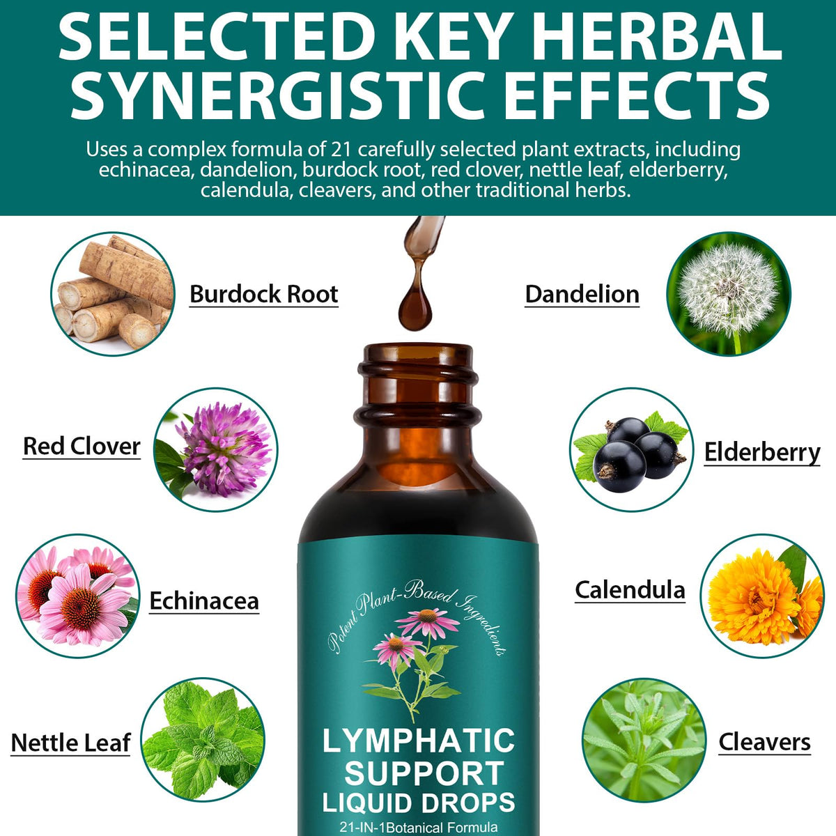 SDJUFEI 21-in-1 Lymphatic Drainage Drops， Lymphatic Support Liquid Drops with Turmeric, Echinacea, Elderberry & Dandelion, for Women & Men, 2 fl oz SDJUFEI buy supplements Au