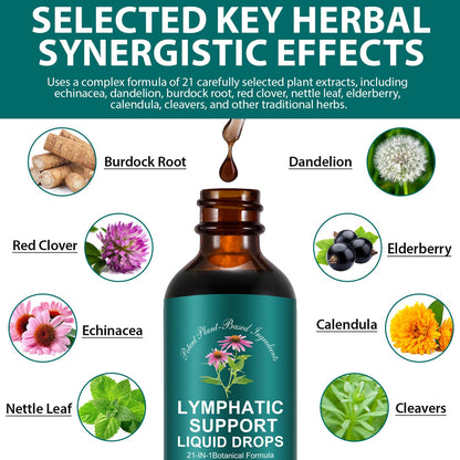 SDJUFEI 21-in-1 Lymphatic Drainage Drops， Lymphatic Support Liquid Drops with Turmeric, Echinacea, Elderberry & Dandelion, for Women & Men, 2 fl oz SDJUFEI buy supplements Au