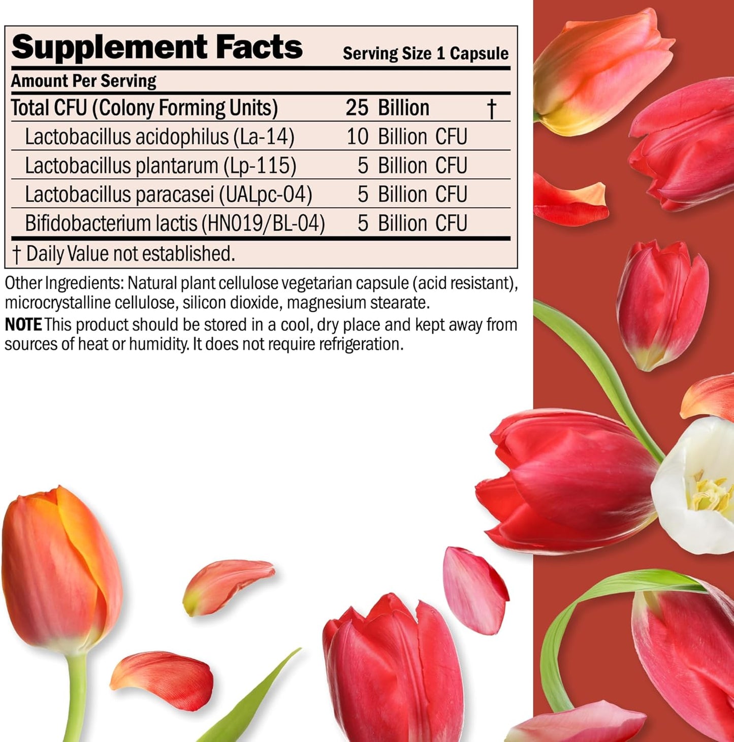 Andrew Lessman ProCaps Probiotic 25 Billion CFU 60 Capsules for Women & Men | Shelf-stable 25 Billion CFU. Four probiotic strains. No refrigeration required. Supports digestive & immune health.