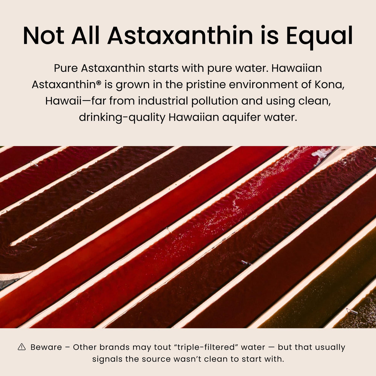 Nutrex Hawaii BioAstin Hawaiian Astaxanthin - 4mg, 60 Softgels - Farm-Direct Premium Antioxidant Supplement to Support Eye, Skin, Joint & Immune System Health - Non-GMO & Gluten-Free Nutrex Hawaii buy supplements Au
