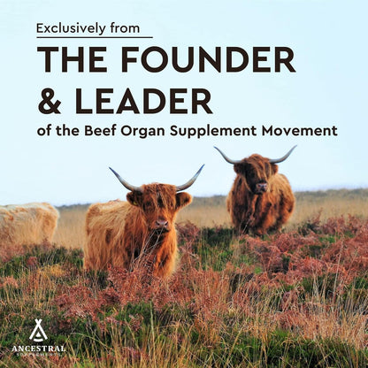 Ancestral Supplements Grass Fed Beef Heart Supplement, CoQ10, 180 Ct | A whole food heart health supplement with CoQ10 supports mitochondrial function and cardiovascular energy.
